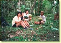 Eat a coconut in Bali