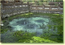 Tirta Empul in Bali